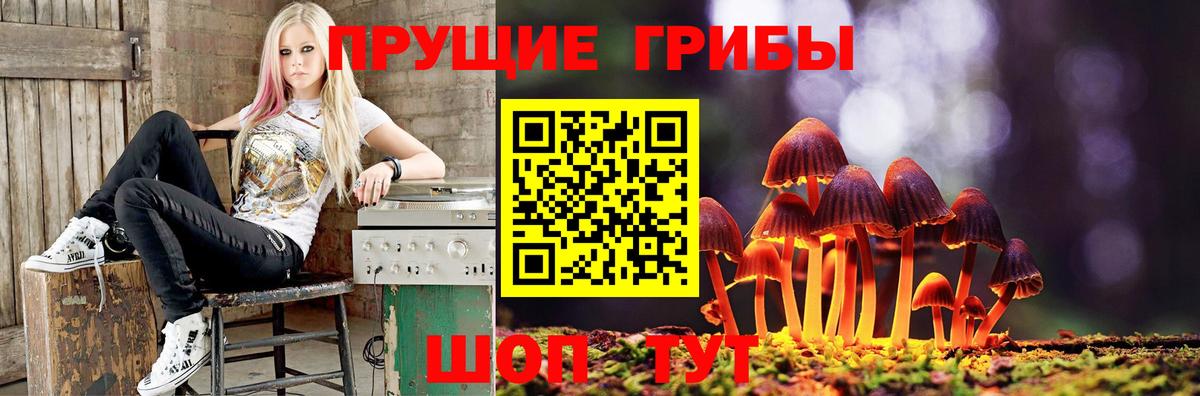 Белгород  Псилоцибиновые грибы Psilocybe  Псилоцибиновые грибы прущие грибы  Вход с VPN 